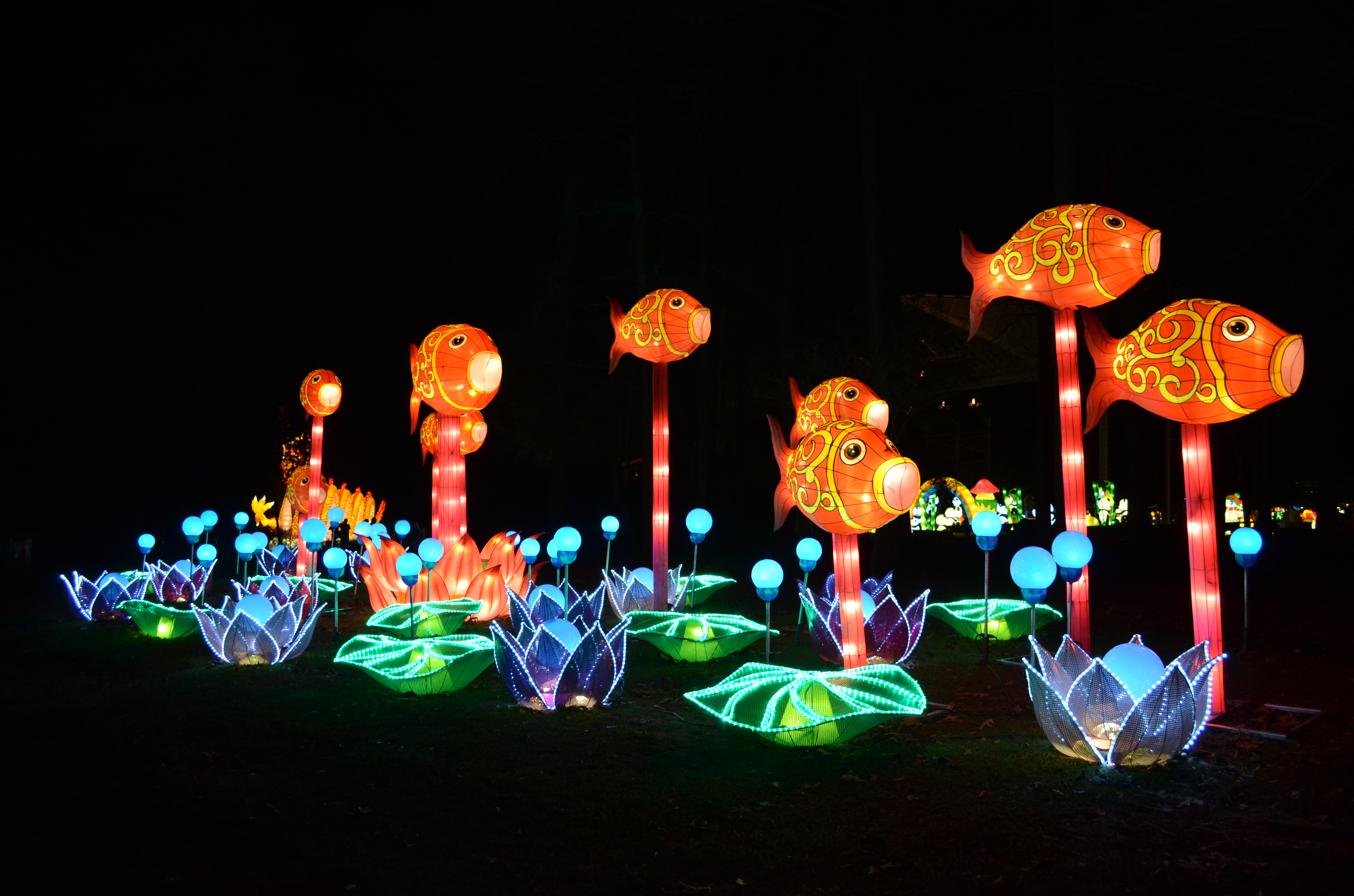 ./2015/33 - Chinese Lantern Festival/DSC_0630.JPG